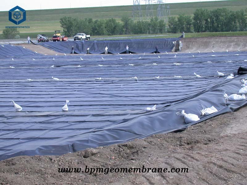 HDPE membrane Liner for Fish Pond Project in Zambia