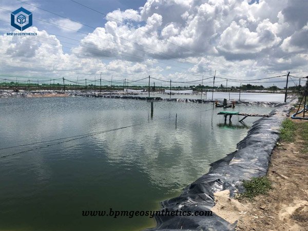 High Density Polyethylene Pond Liner for Aquaculture Farm in Sri Lanka