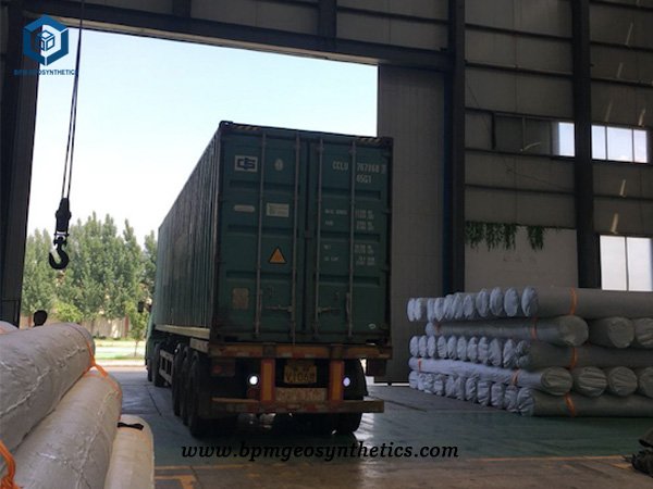 HDPE Smooth Geomembrane for Chicken Farm in Vietnam