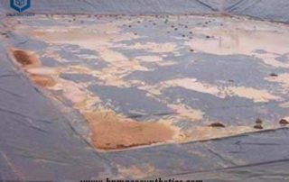 HDPE Geomembrane Malaysia for Shrimp Pond Project