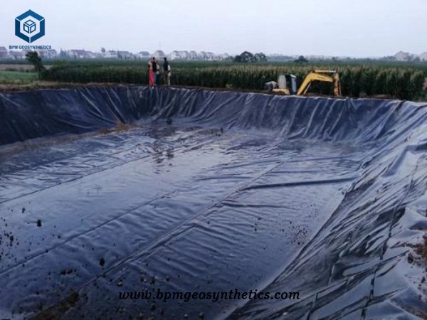 Revestimento de membrana de lagoa HDPE para projeto de aquicultura na Tanzânia