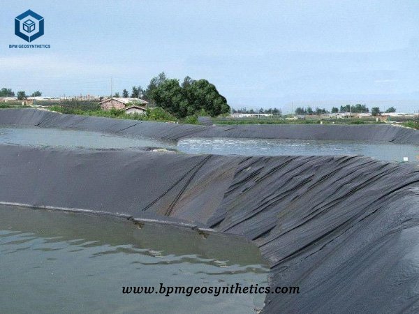 Flexible Pond Liner for Fish Farm in Pakistan