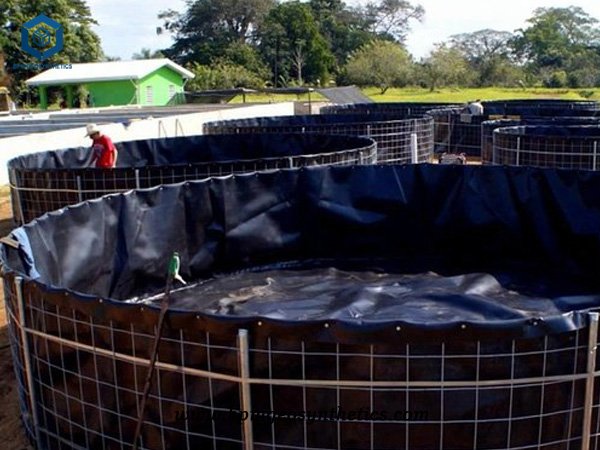 Revestimento de tanque de HDPE para tanques de fritadas de camarão na Indonésia