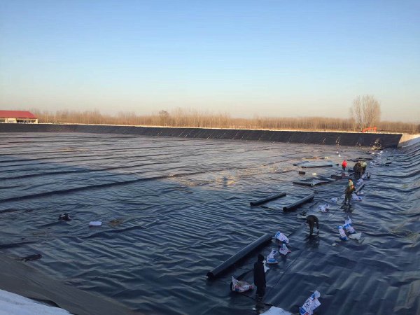 Liquid Pond Liner for Fish Farm Project in Thailand