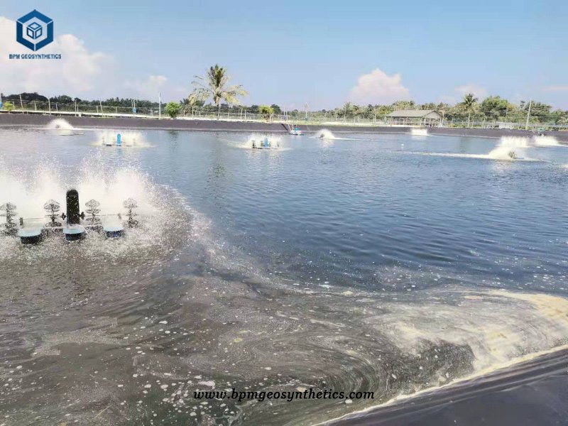 Geomembrane Pondliner for Shrimp Farming in Philippines