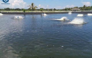 HDPE Geomembrane Pondliner for Shrimp Farming Project in Philippines