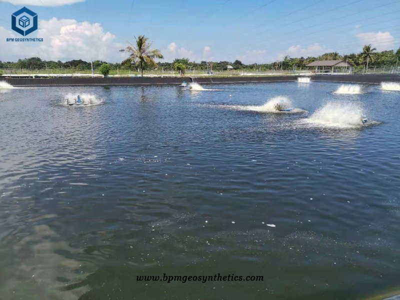 HDPE Geomembrane Pondliner for Shrimp Farming Project in Philippines