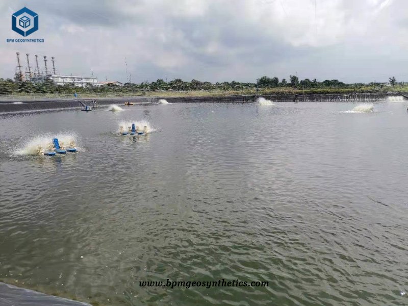 HDPE Geomembrane Pondliner for Shrimp Farming projects in Philippines