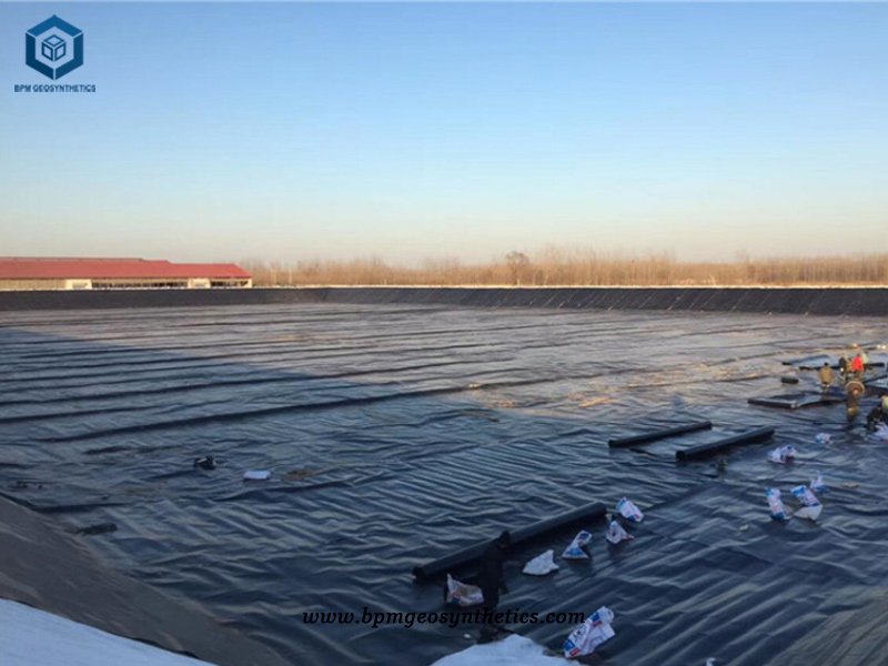 HDPE Reinforced Polyethylene Liner for Oxidation pond Project in Thailand