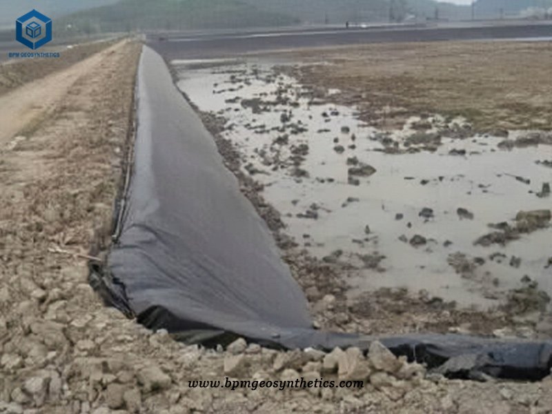 Agricultural Pond Liner for Farming Fish Ponds in Bangladesh