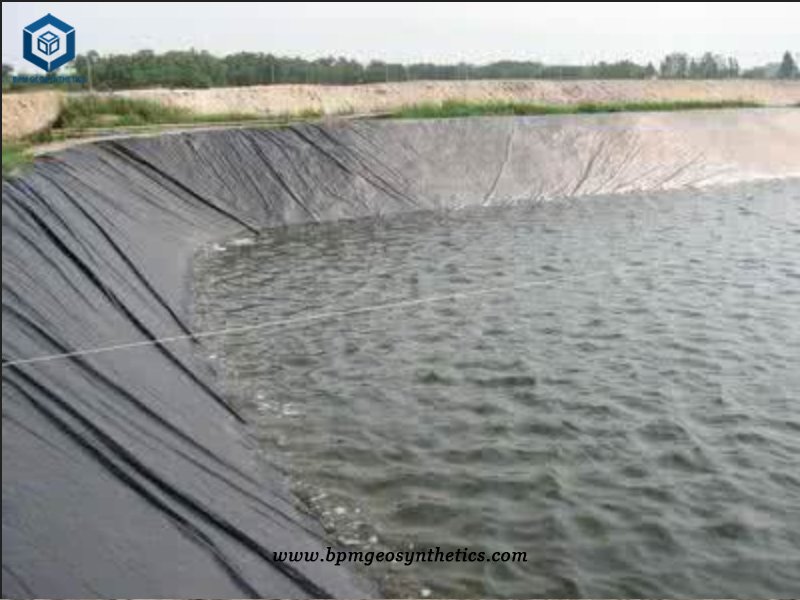 Agricultural Pond Liner for Organic Farming Fish Ponds in Bangladesh