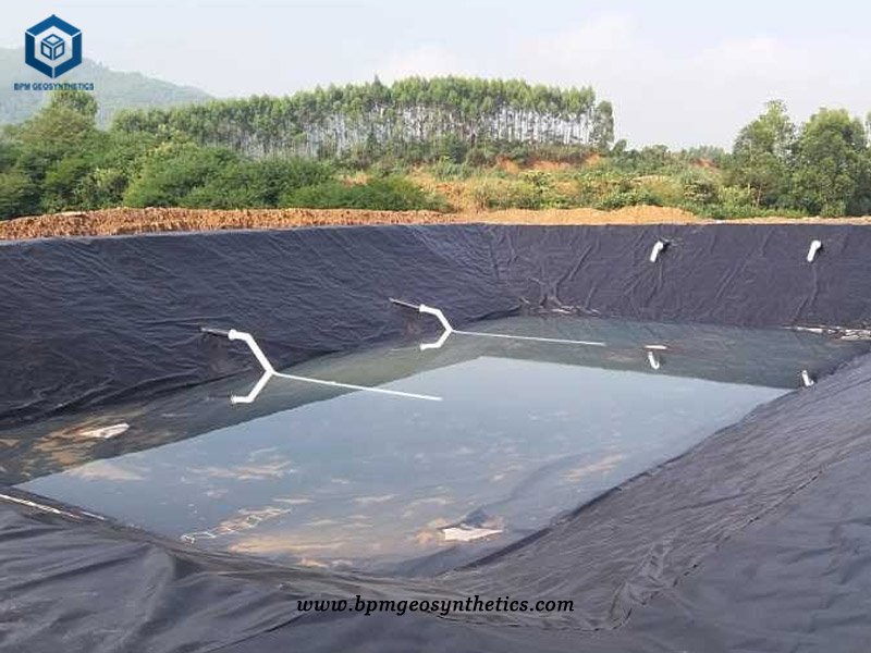 أغشية HDPE الجغرافية لمشروع هضم الغاز الحيوي في زامبيا