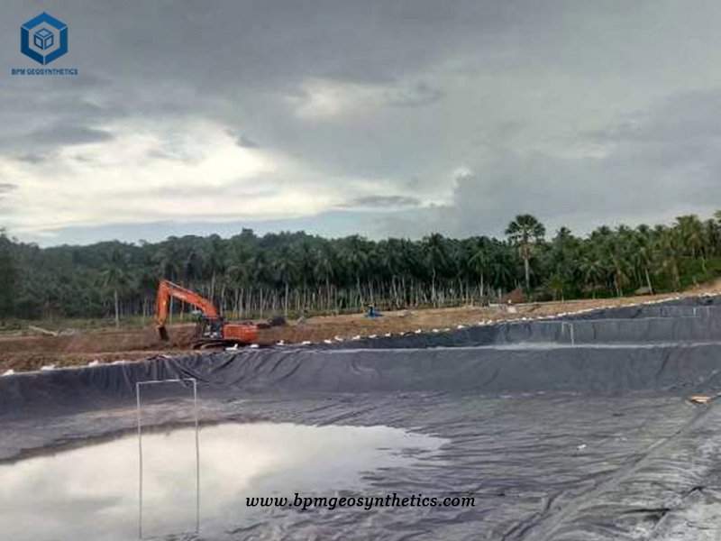 HDPE Pond Liner for Fish Pond Project in Malaysia