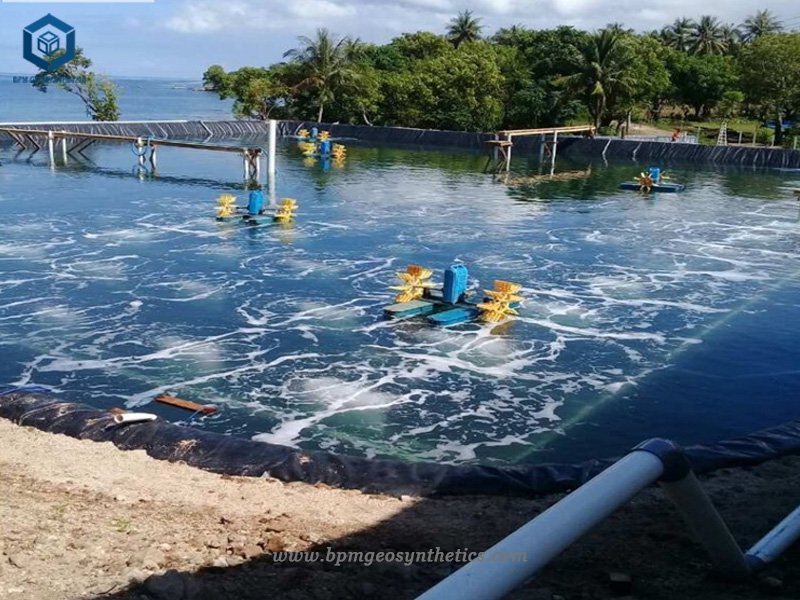 Lagoa enorme de camarão com forro de lagoa HDPE Malásia