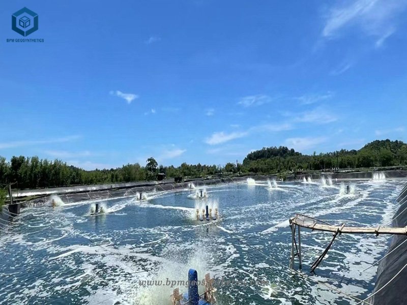 Enorme Projeto de Lagoa de Camarão com Forro de Lagoa na Malásia