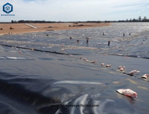 HDPE Pond Liner كندا لمشروع مكب النفايات