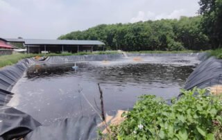High Density Polyethylene HDPE 500 Micron Pond Liner for Fish and Shrimp Farm