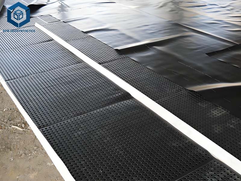 Drainage Cell vs Sheet Drain Drainage Sheet Dimple Drain Board for Roof Garden Drainage Cell vs Sheet Drain Drainage Sheet Dimple Drain Board for Roof Garden