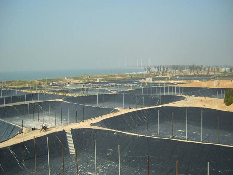 Best Geomembrane Price for Fish Farm