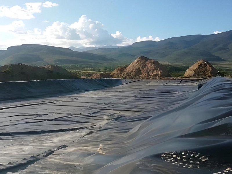 Best Plastic Pond Liner For Fish Pond Best Plastic Pond Liner For Fish Pond