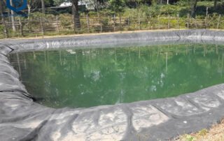 Ponds with Liners Fish Pond Liner 20mil for Waterproof Layer