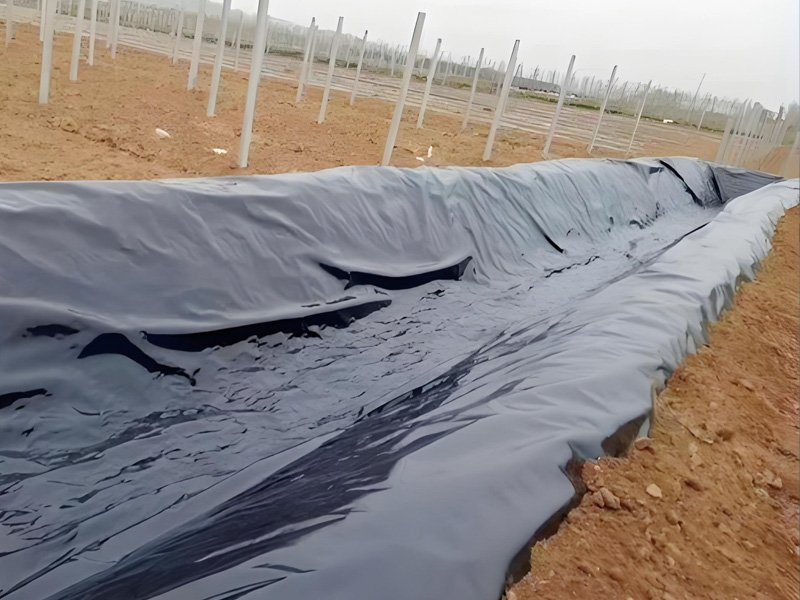 Key Differences Between Geotextile and Geomembrane Key Differences Between Geotextile and Geomembrane