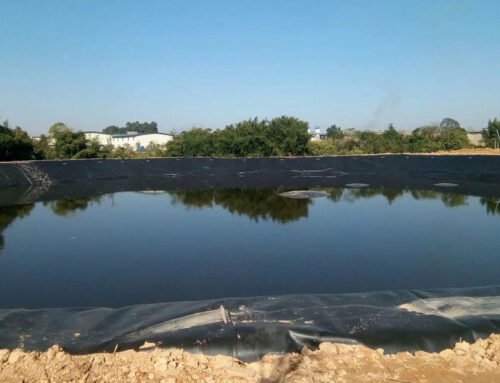 What Is Plastic Pond Liner and Its Applications