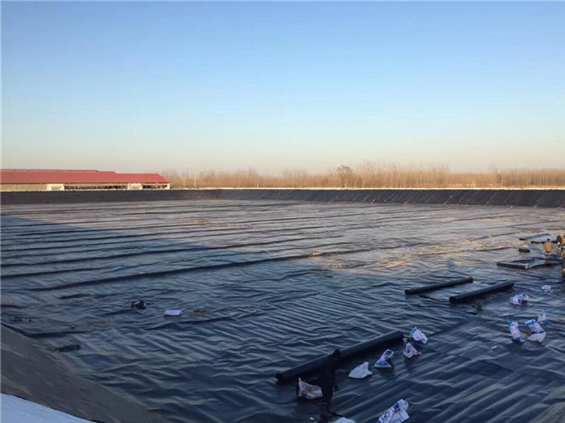 Underwater Geomembrane Repair Process Underwater Geomembrane Repair Process