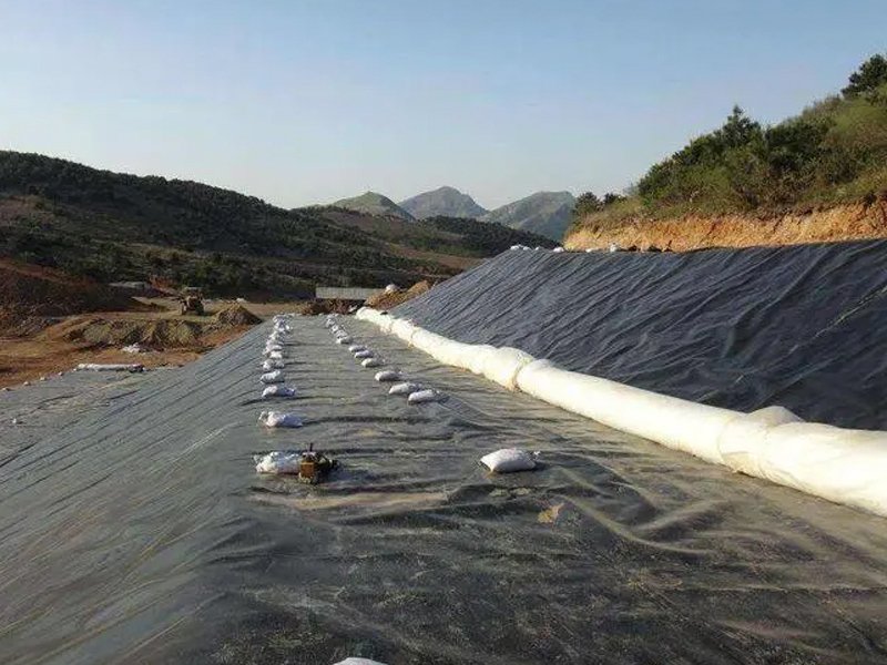 What Is Geomembrane Price