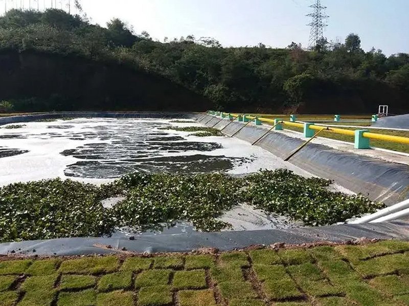 What Is Plastic Pond Liner and Its Applications What Is Plastic Pond Liner and Its Applications