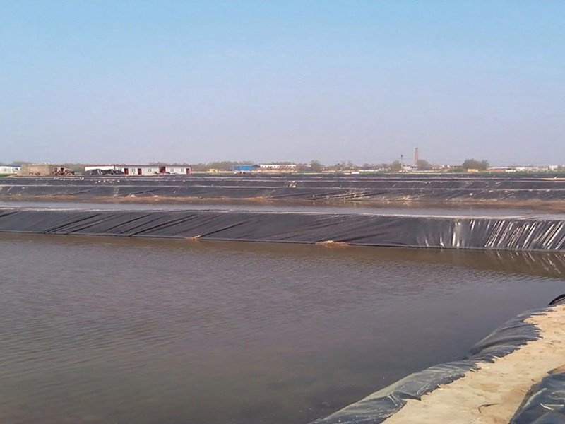 BPM LLDPE Liner for fish farm