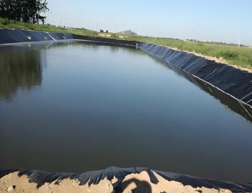 What Is Fish Pond Liner Price