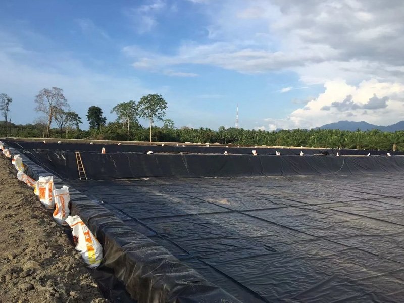 What Is Pond Liner 500 Micron Price