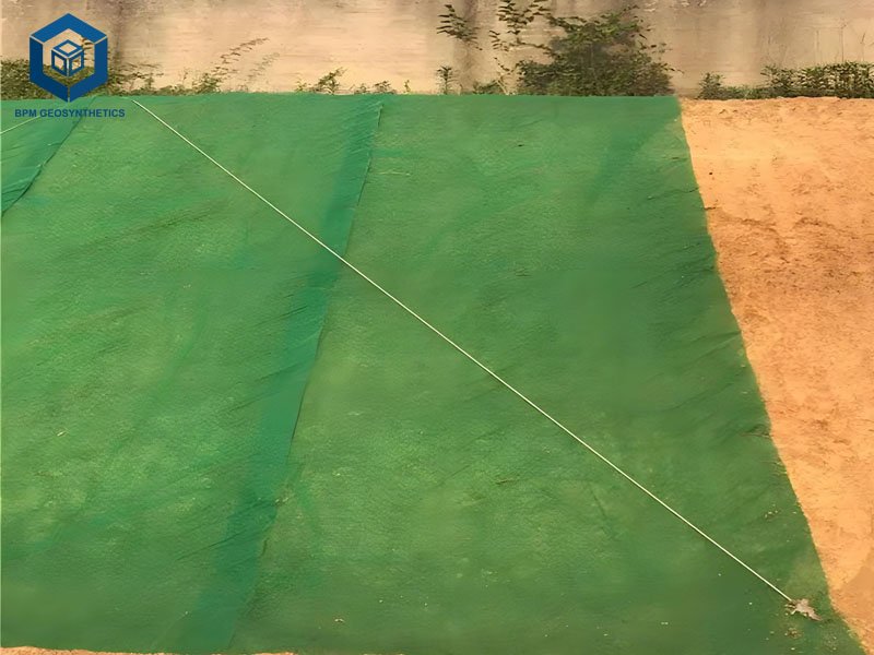 Soil Erosion Control Geomat for Slopes